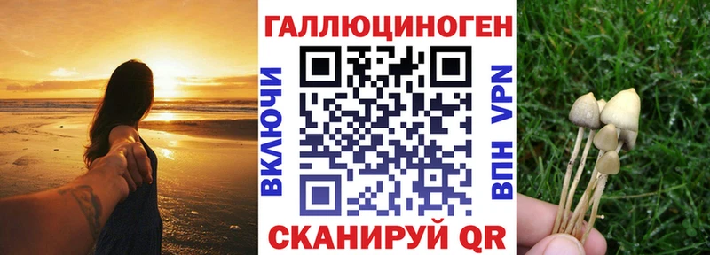 Галлюциногенные грибы GOLDEN TEACHER Бологое