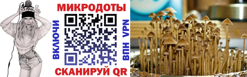 Галлюциногенные грибы ЛСД  Бологое 